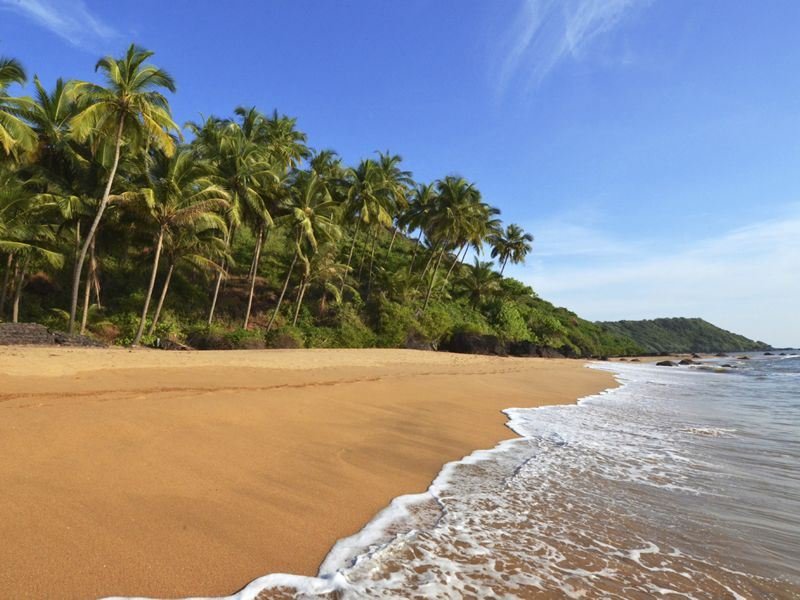 Goa mangrove landscape